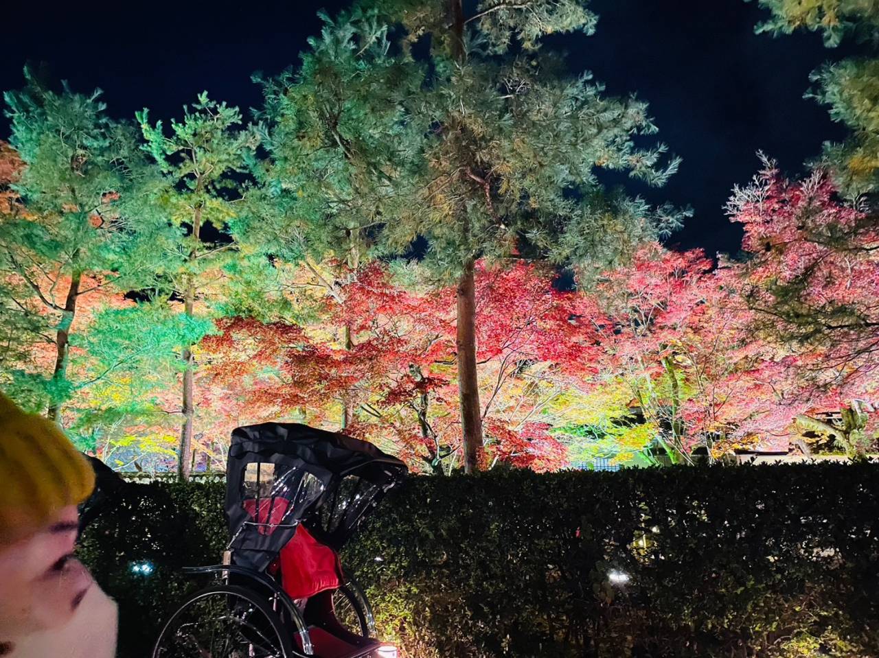京都　宝厳院ライトアップに行きました🍁